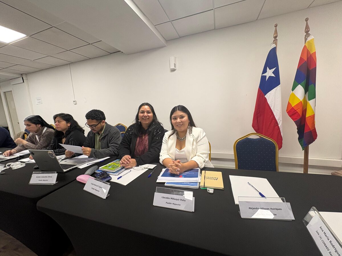Llacolen Millaquir en el COSOC del Ministerio de Energía de Chile